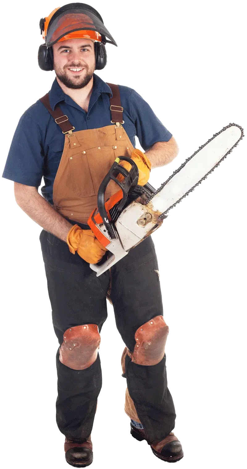 Tree Contractor